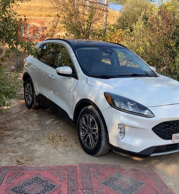 فۆرد ئێسکەیپ 2021 بۆ فرۆشتن لە عێراق - ڕانیە